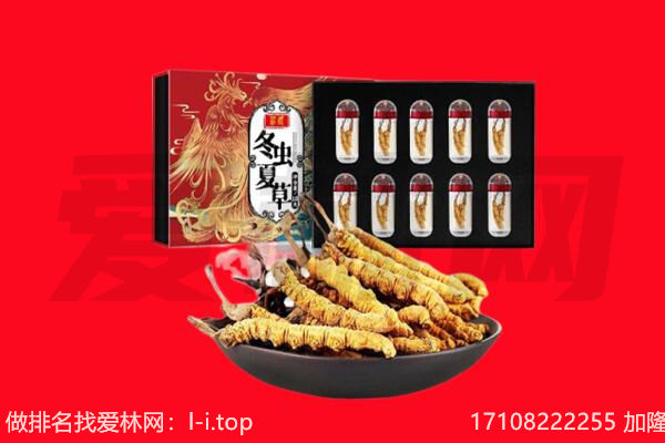 岢岚县回收虫草.jpg